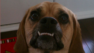 buster