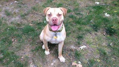 murphy