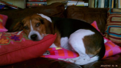 snoopy