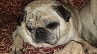 winston